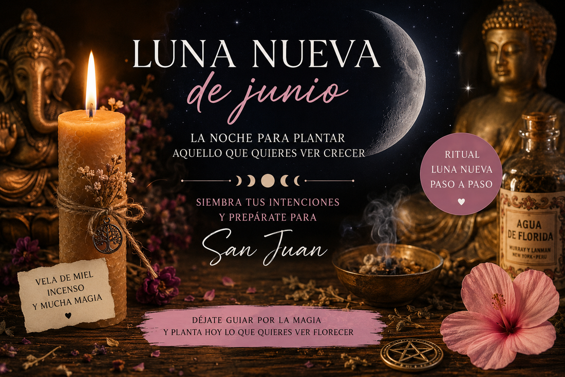 Luna Nueva de junio: la noche para plantar aquello que quieres ver crecer