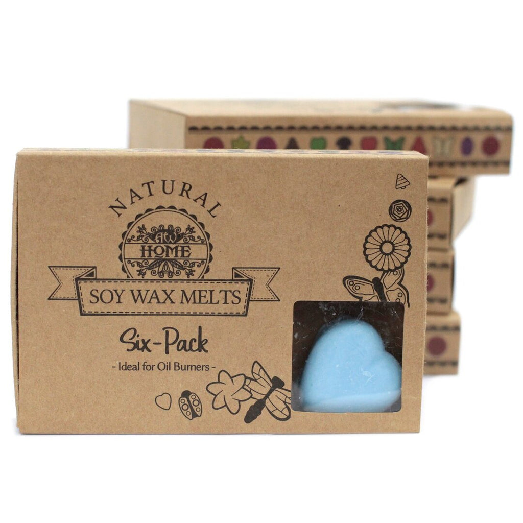 Wax Melts Baya de Gota