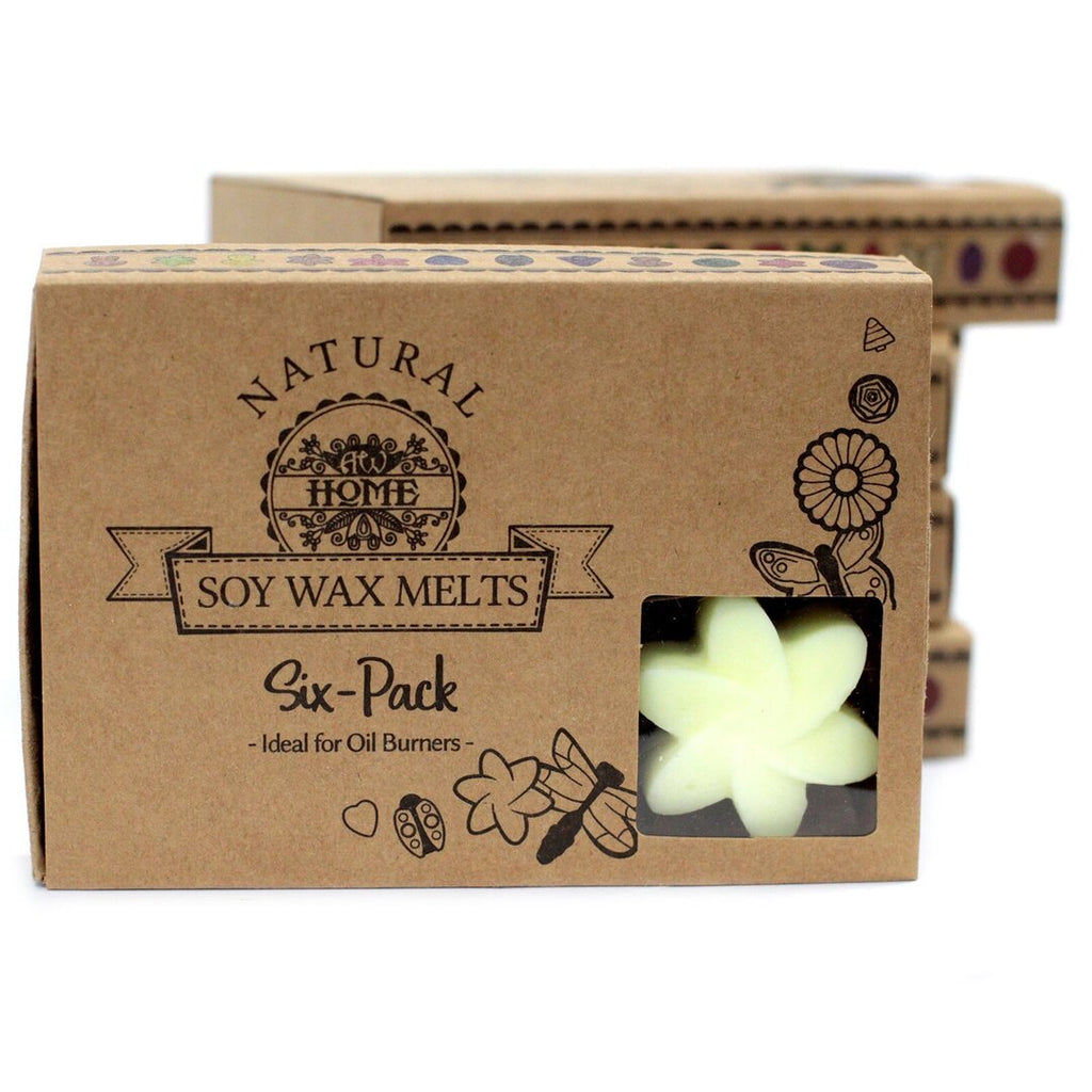 Wax Melts Limón