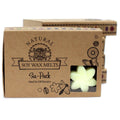 Wax Melts Limón